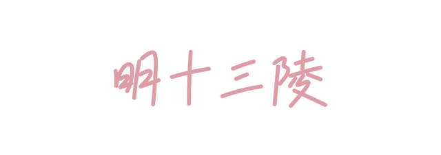 周末去哪 | “赏花专列”“最美公路”，驶入春日花海，你pick哪种？