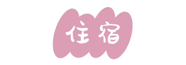 周末去哪 | “赏花专列”“最美公路”，驶入春日花海，你pick哪种？