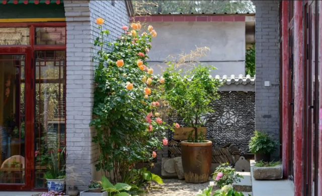 周末去哪 | “赏花专列”“最美公路”，驶入春日花海，你pick哪种？