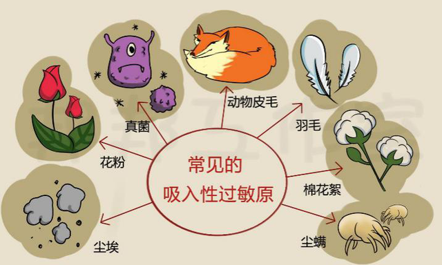 【汤医科普】过敏性鼻炎如何治疗？