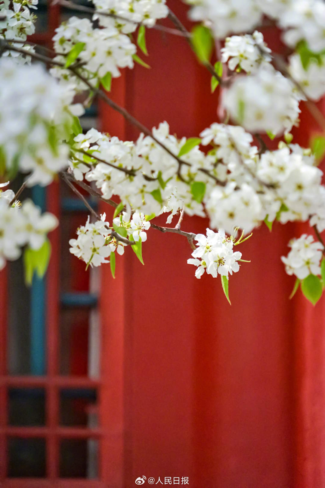 2.jpg?x-oss-process=style/w10