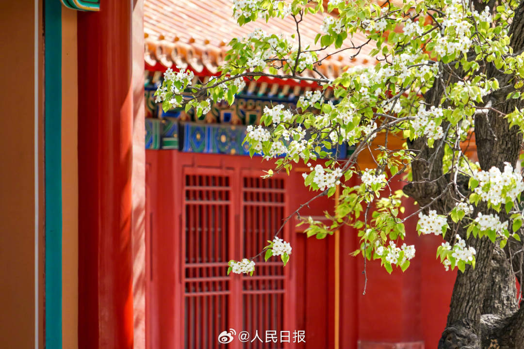 3.jpg?x-oss-process=style/w10