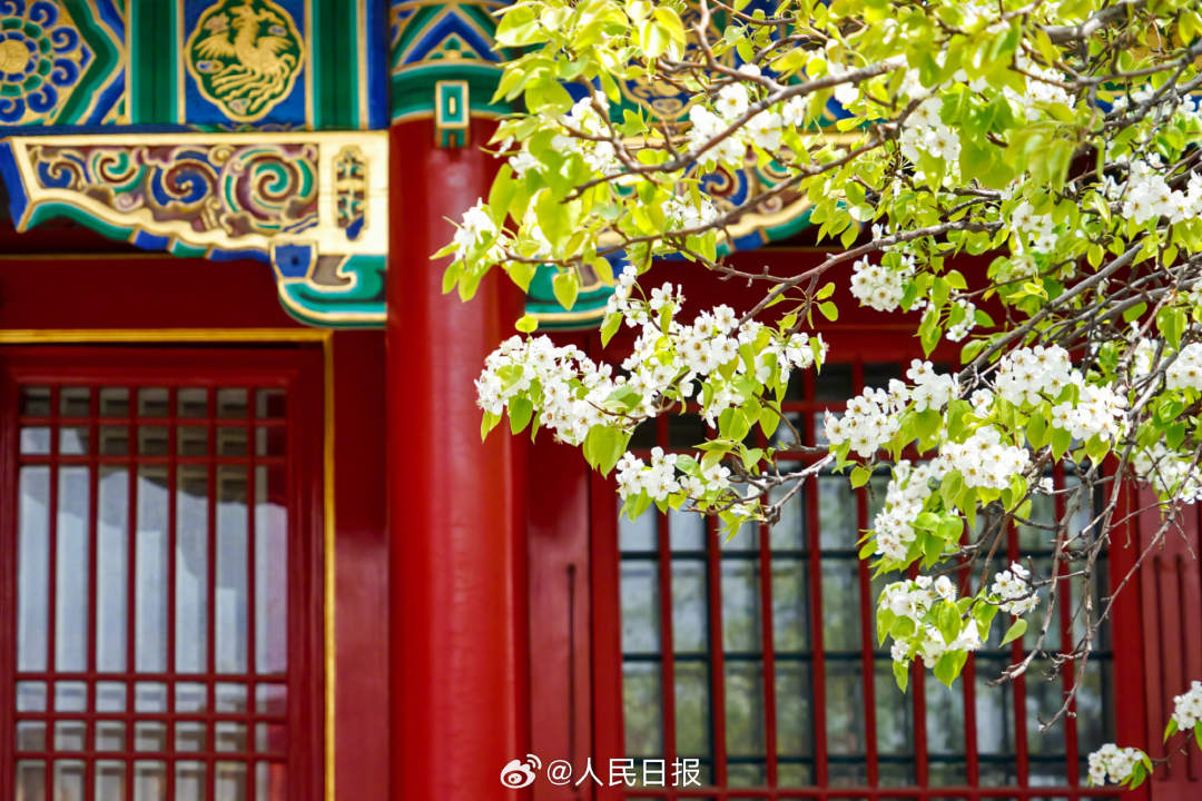 5.jpg?x-oss-process=style/w10