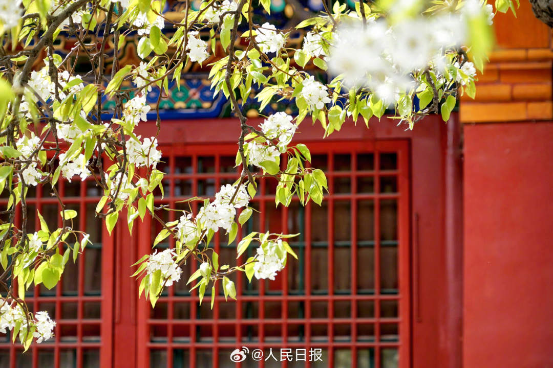 9.jpg?x-oss-process=style/w10