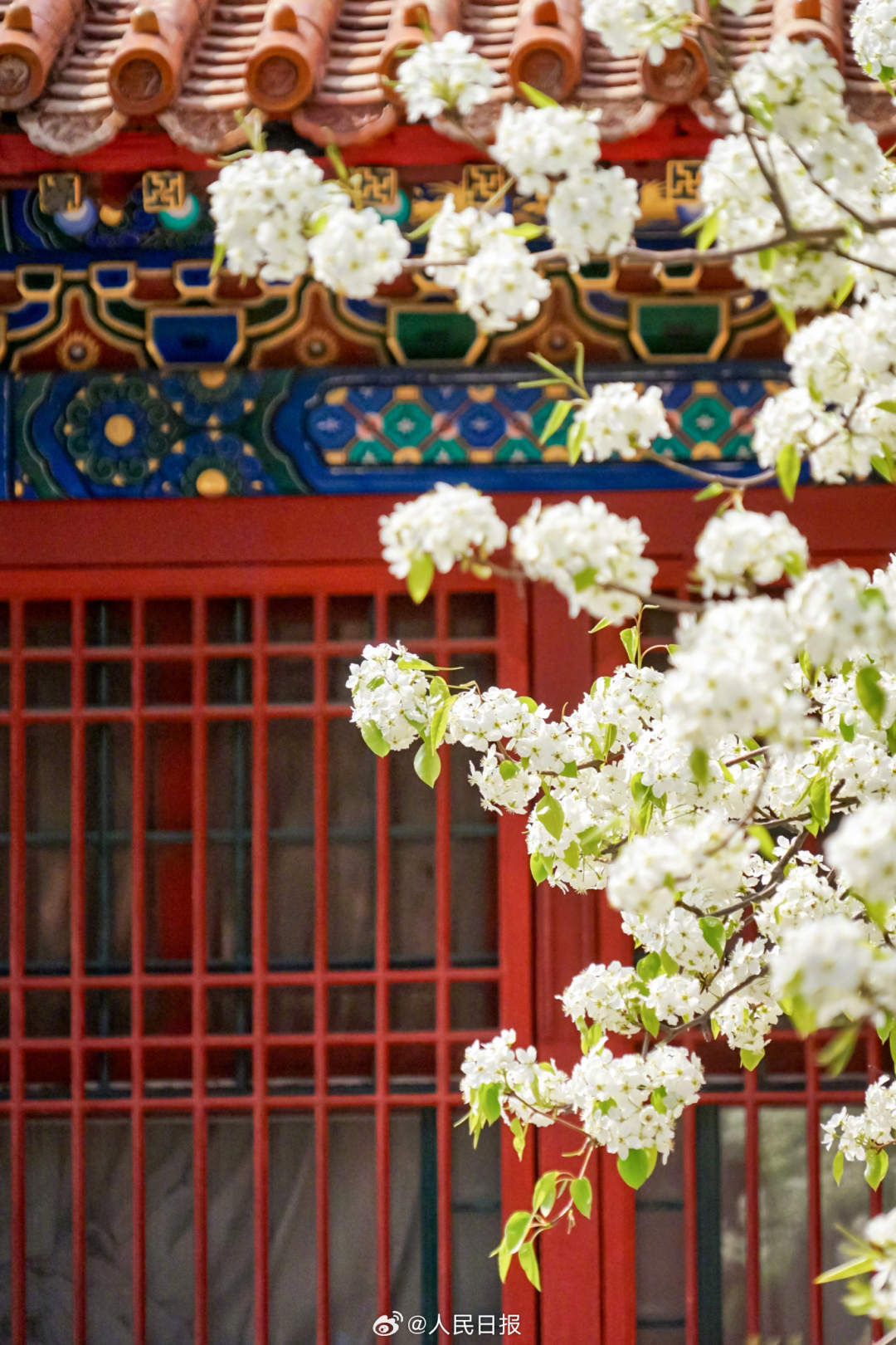 1.jpg?x-oss-process=style/w10