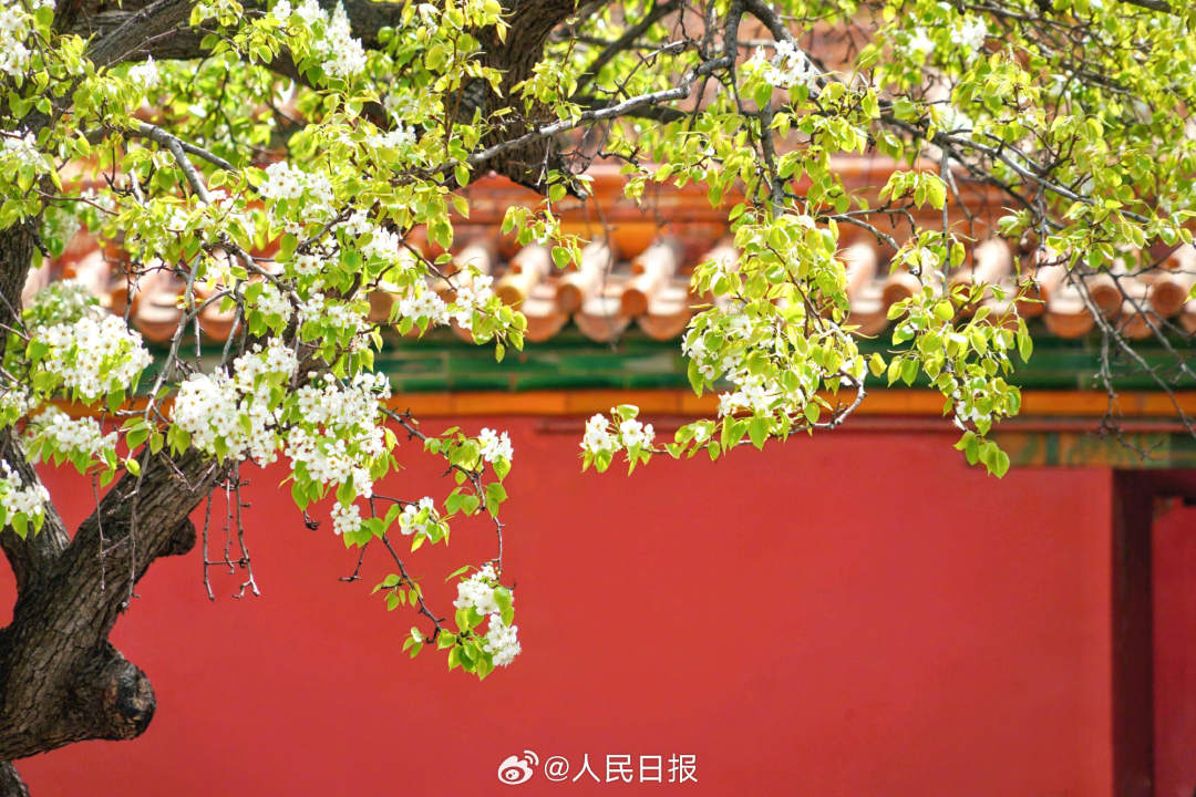 4.jpg?x-oss-process=style/w10