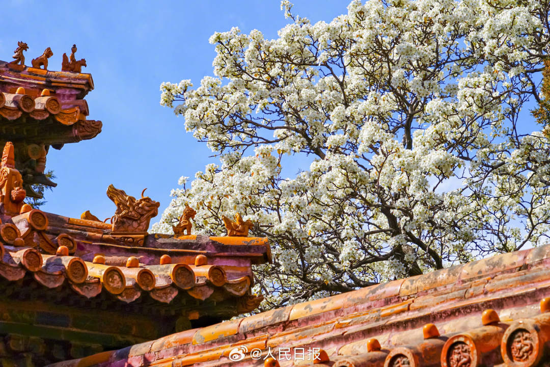 6.jpg?x-oss-process=style/w10