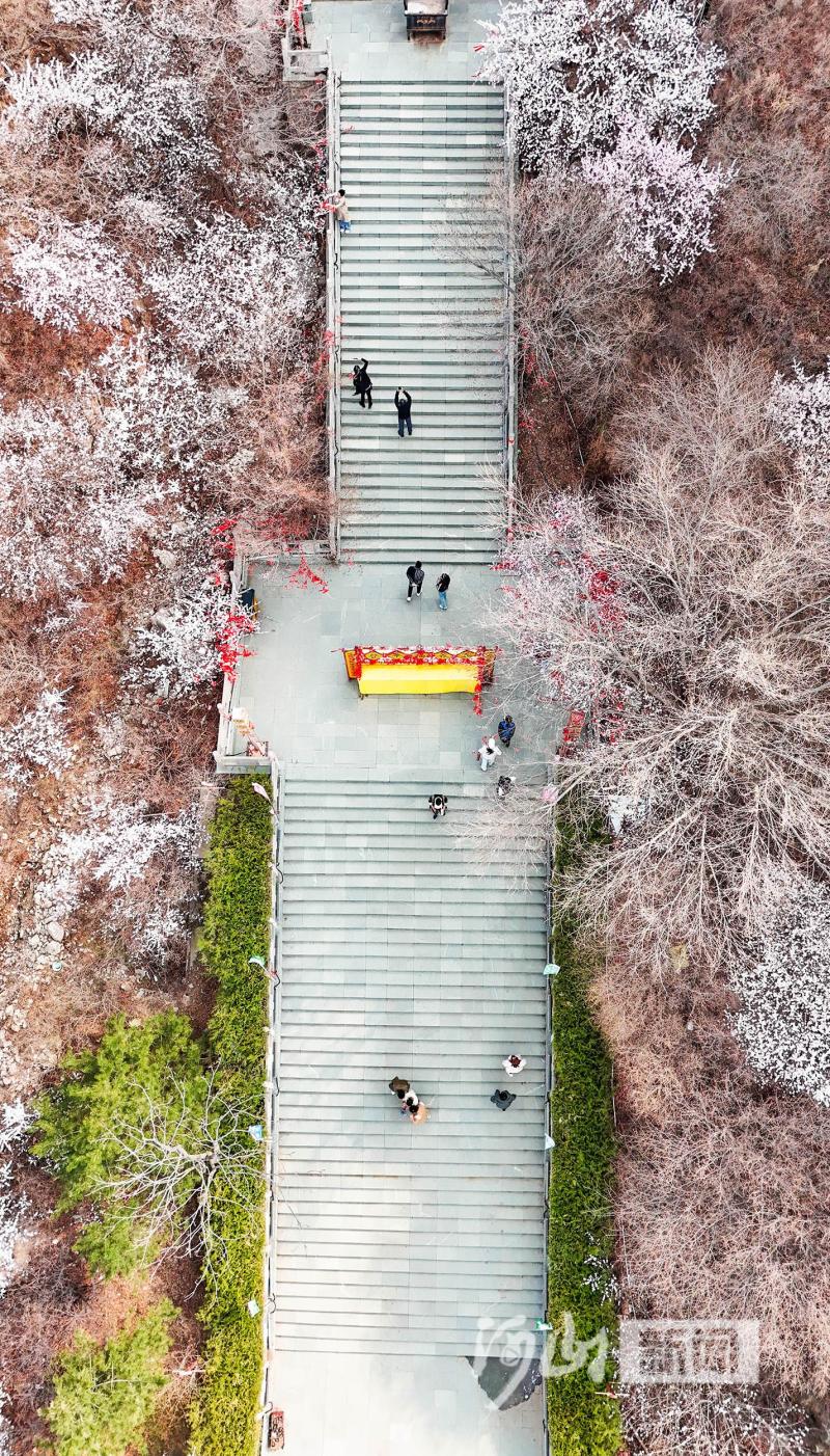 鸡鸣山寺图片