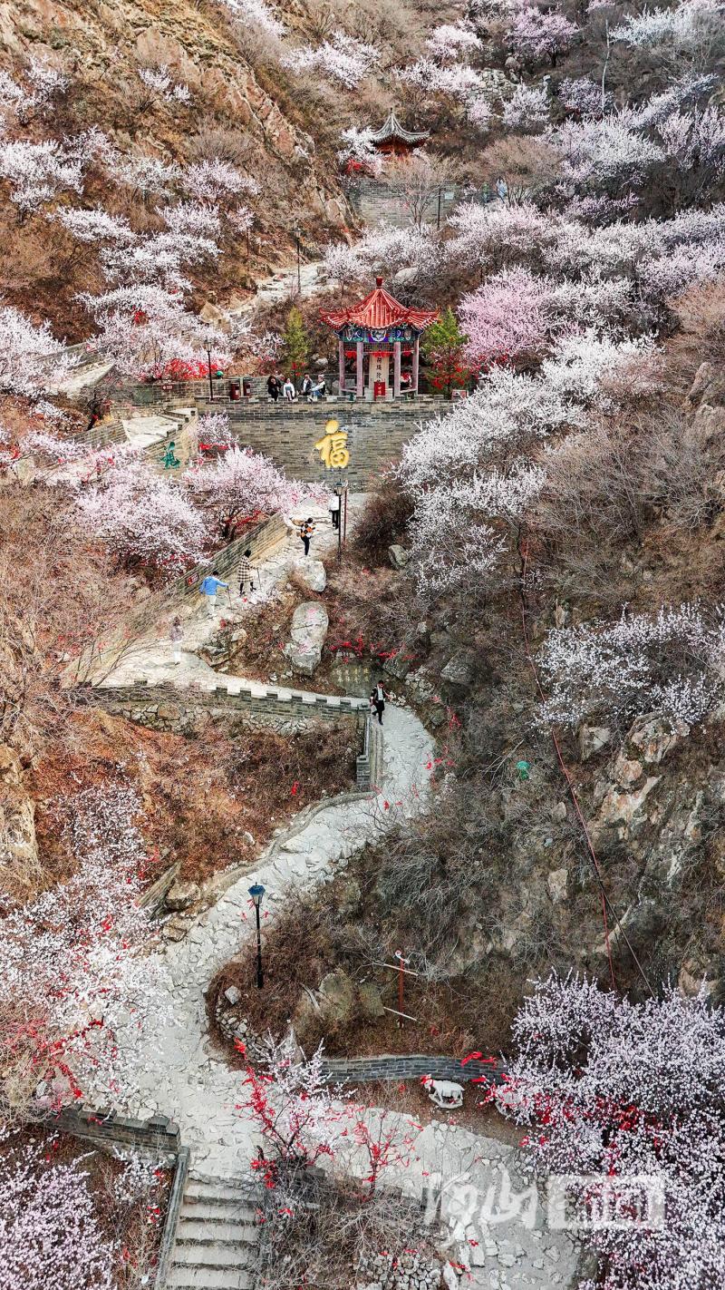 鸡鸣山寺图片