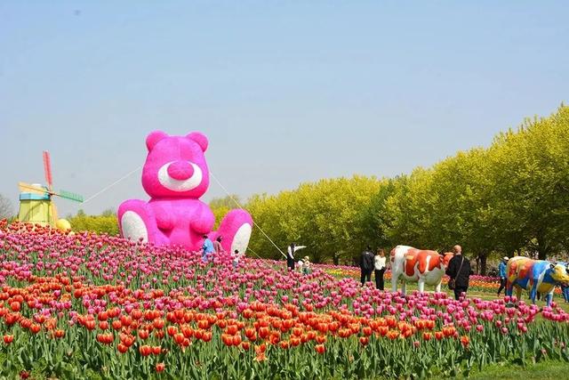 在北京遇见“莫奈花园”，美似油画！
