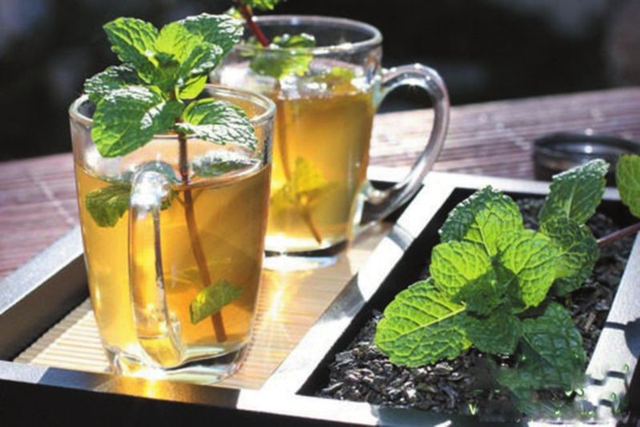 【汤医科普】夏季养生选药茶，助您安然度炎夏
