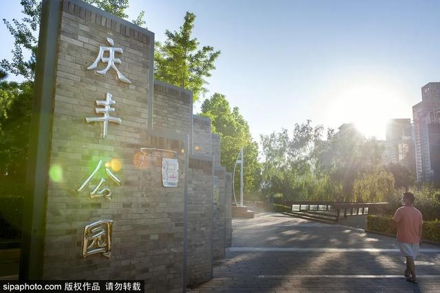 “五月顶流”蔷薇花已达颜值巅峰！千米花墙“一头扎进浪漫”