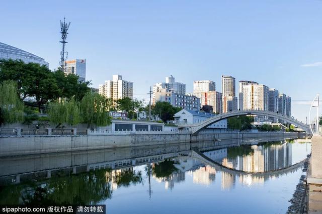 “五月顶流”蔷薇花已达颜值巅峰！千米花墙“一头扎进浪漫”