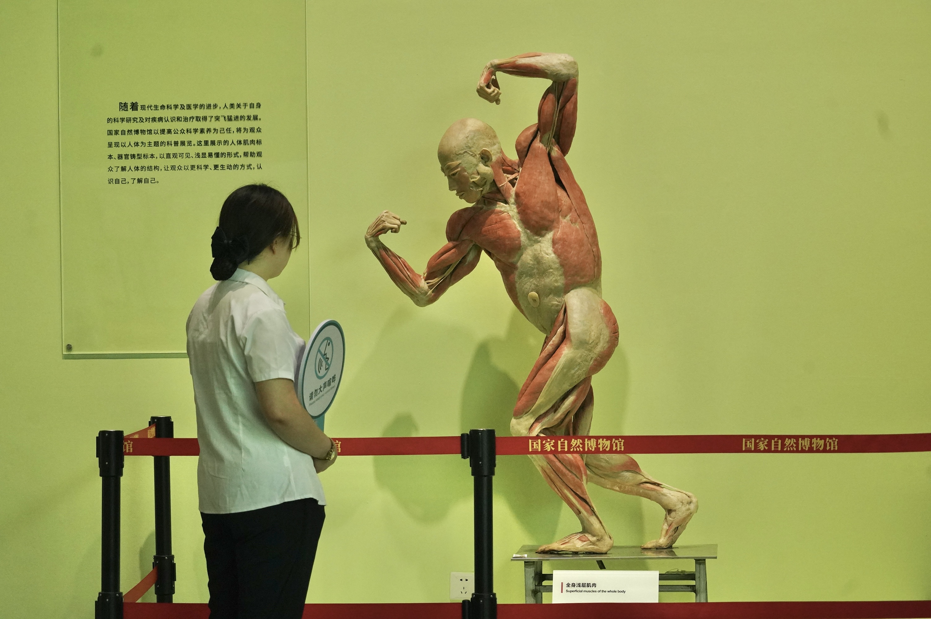 程功240604—“自然乐章——国家自然博物馆2022-2023年新增馆藏精品展”明天开幕。5
