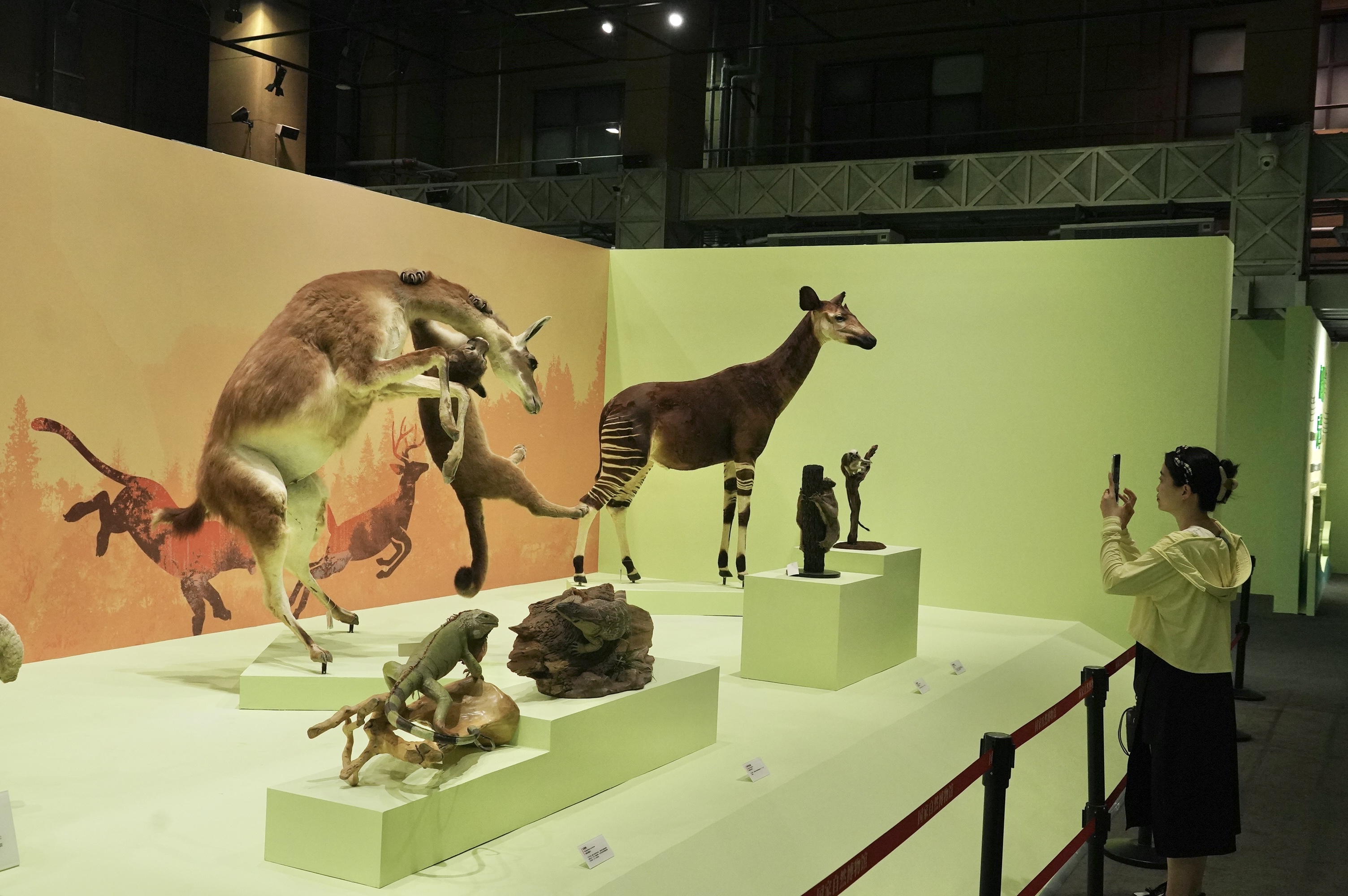 程功240604—“自然乐章——国家自然博物馆2022-2023年新增馆藏精品展”明天开幕。10