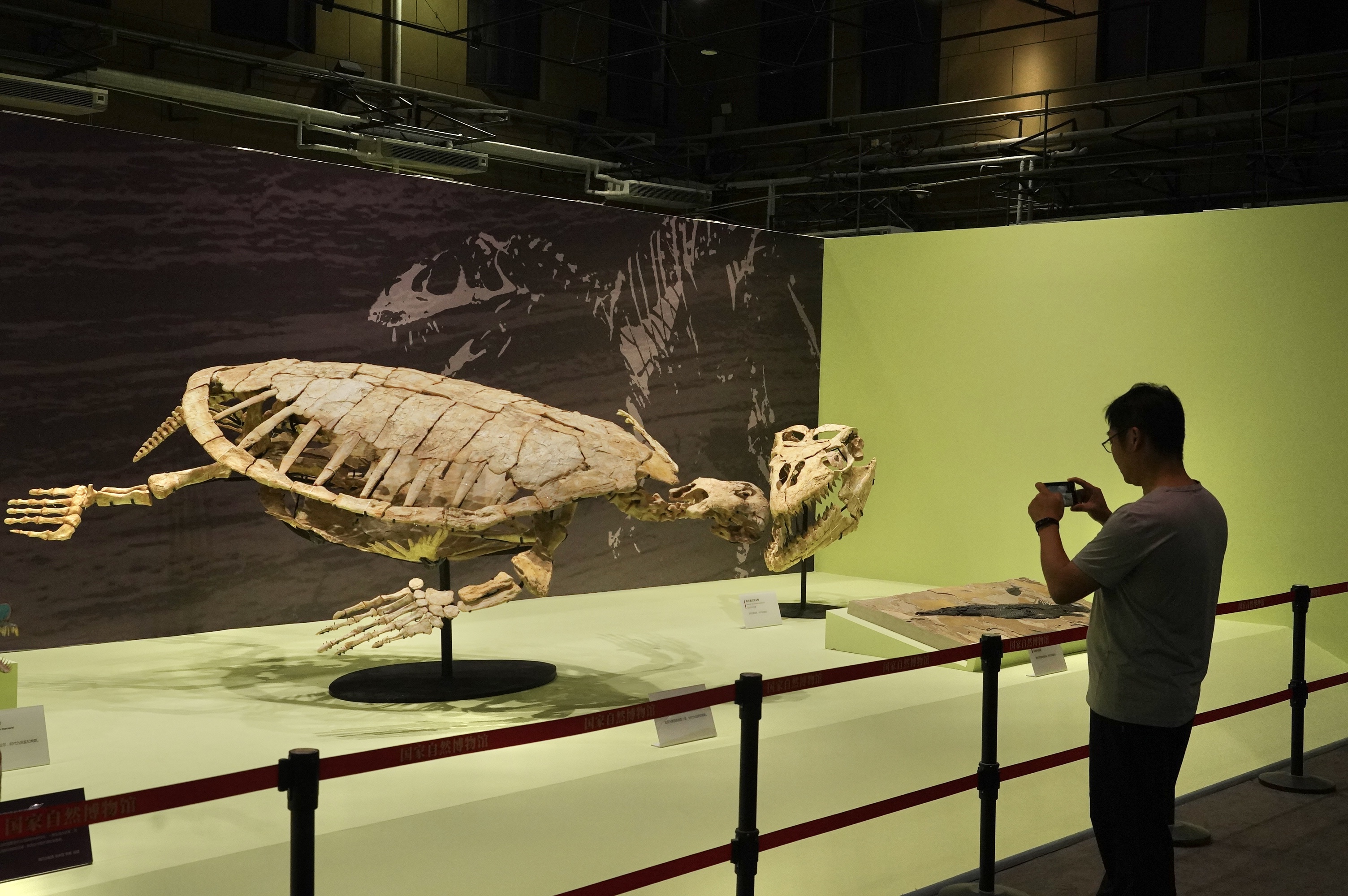 程功240604—“自然乐章——国家自然博物馆2022-2023年新增馆藏精品展”明天开幕。1