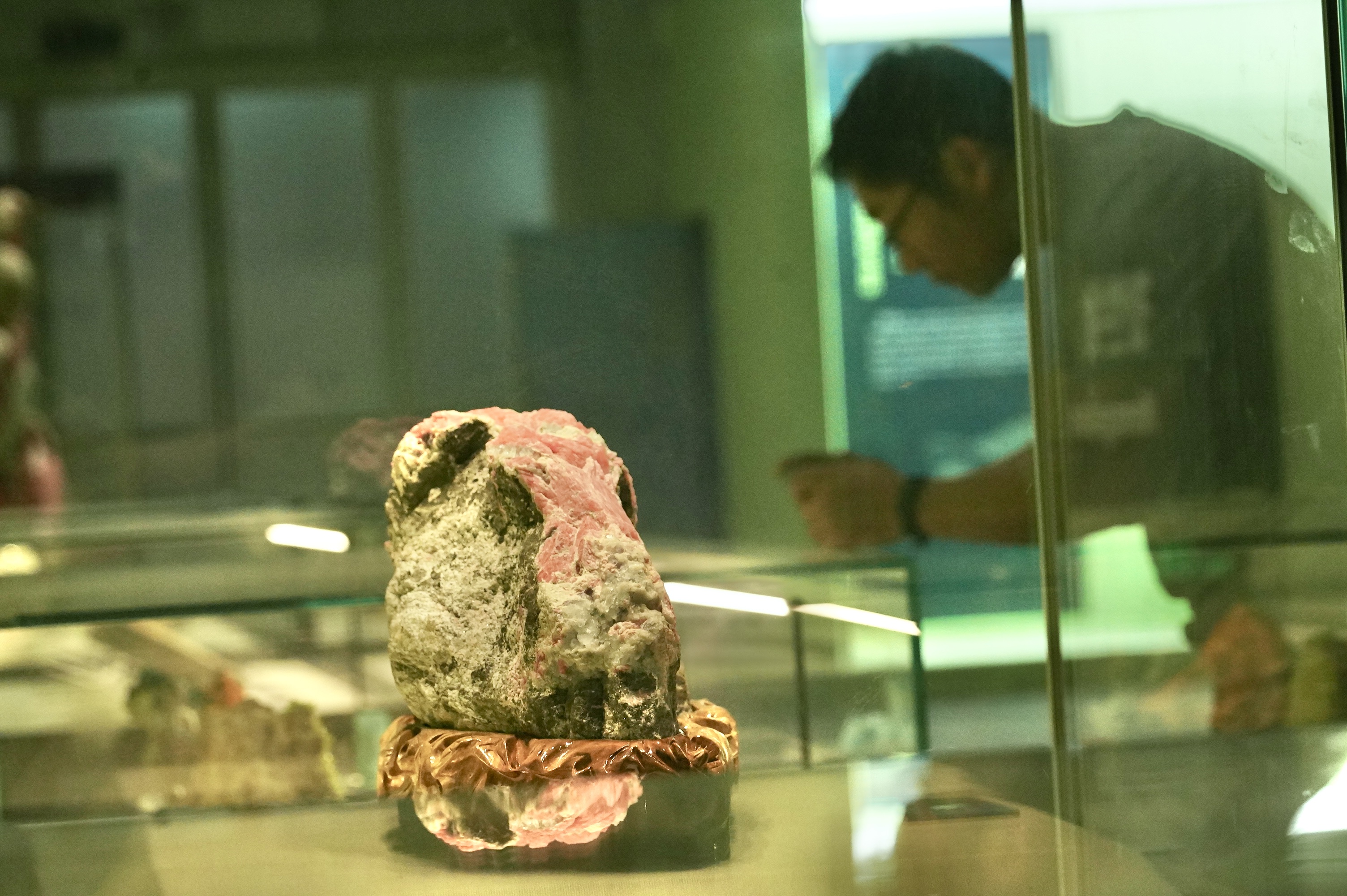 程功240604—“自然乐章——国家自然博物馆2022-2023年新增馆藏精品展”明天开幕。3