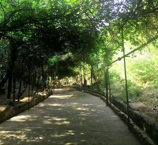 周末去哪｜免费入园！暑期去这里游山、玩水、觅清凉——