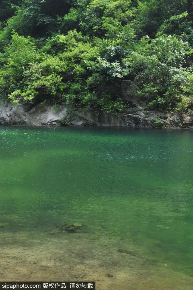 周末去哪｜免费入园！暑期去这里游山、玩水、觅清凉——