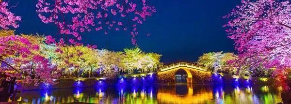 乘龙飞凤！江南大学2024年录取通知书，焕新亮相！