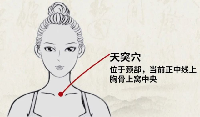 【汤医科普】常用三伏贴敷贴穴位详解