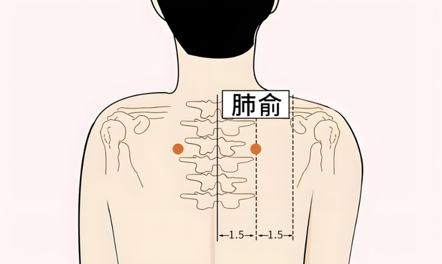 【汤医科普】常用三伏贴敷贴穴位详解