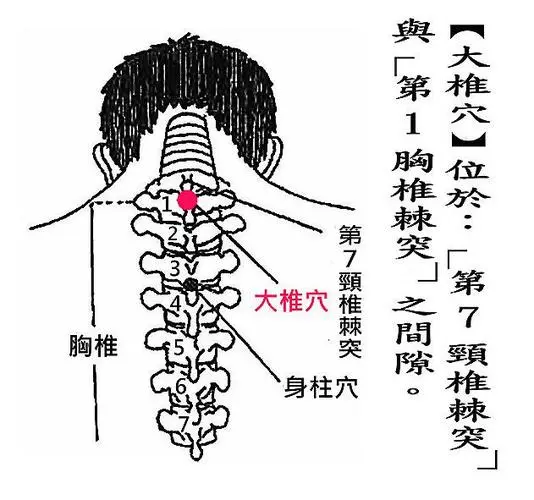 【汤医科普】常用三伏贴敷贴穴位详解