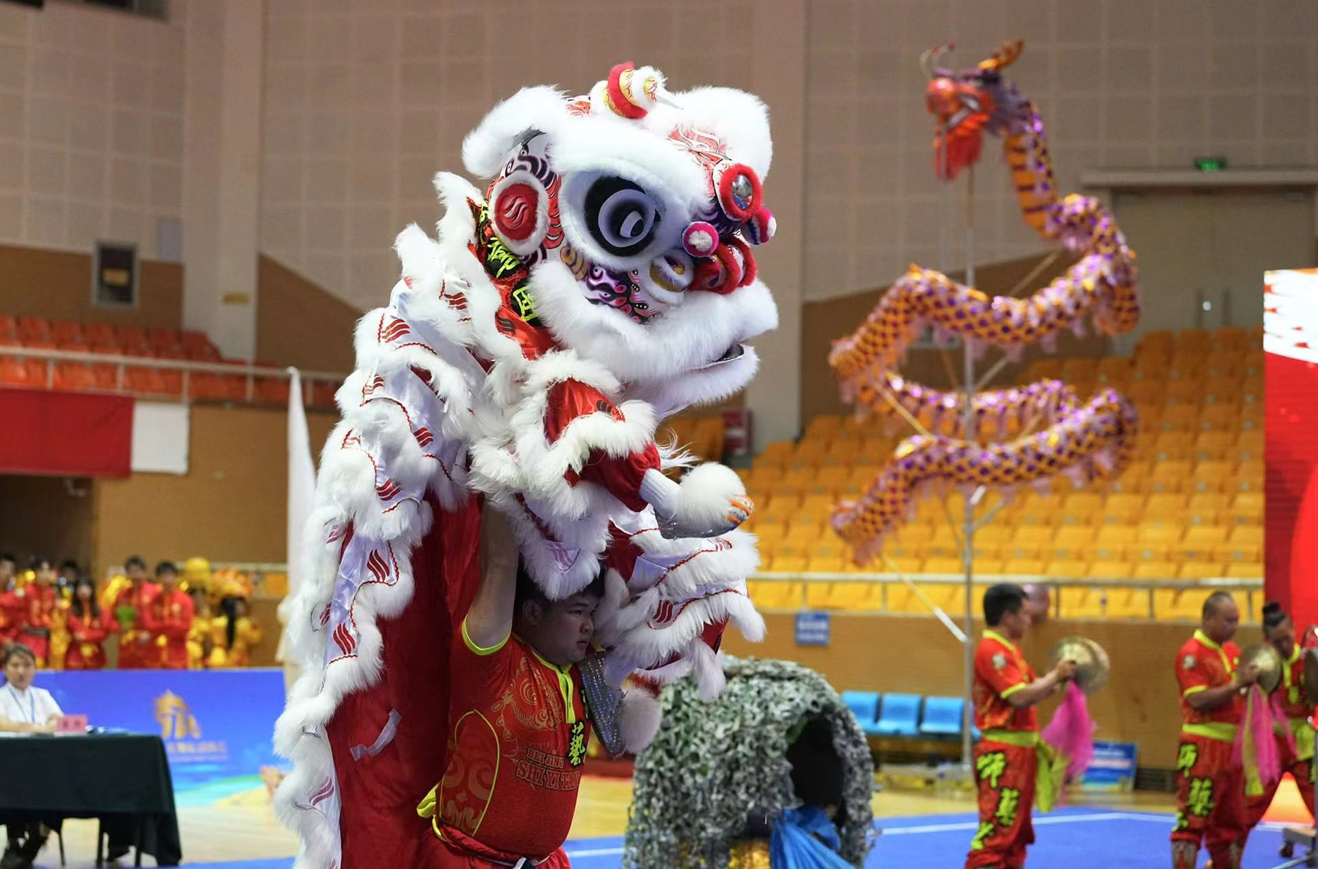 北京舞龙舞狮公开赛选拔全运选手 传统体育火进校园