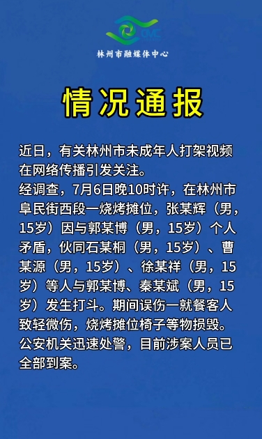 河南林州通报多名未成年人烧烤摊打架:涉案人员已全部到案