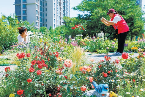 楼边院角的风景！北京今年将建设30处微花园，18处已竣工