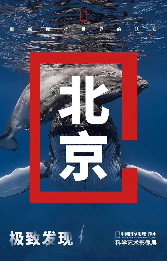 夏日清凉之选，这些展览“咔咔出片”！