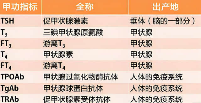 【汤医科普】甲功七项不会看？收藏这篇就够了！