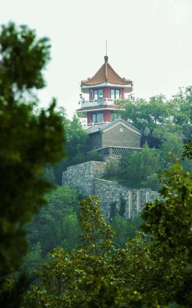今日处暑丨浪漫的它要来了——