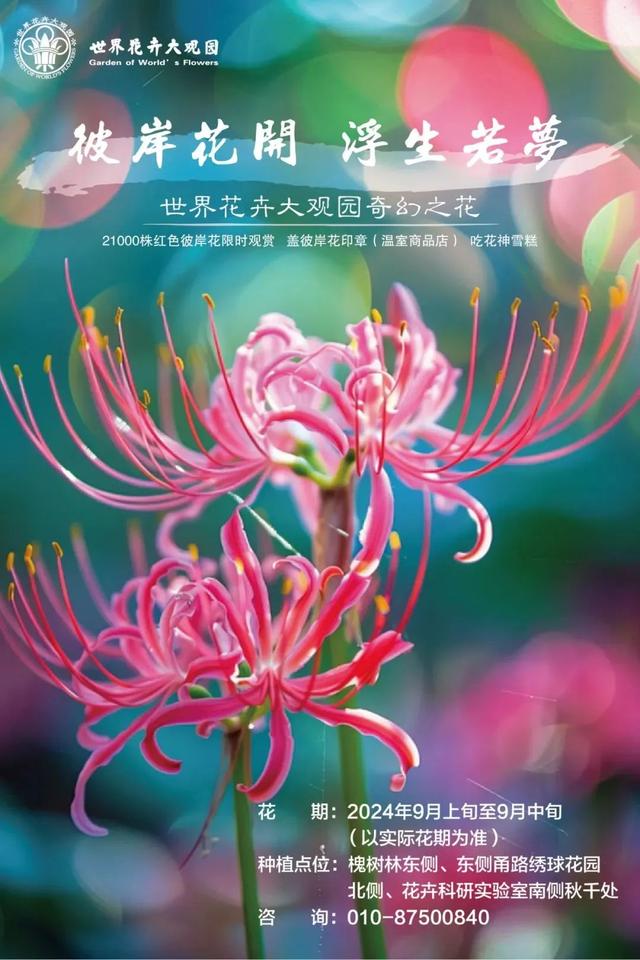 今日处暑丨浪漫的它要来了——