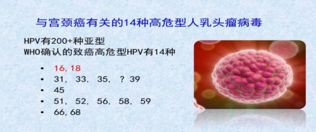 【汤医科普】怎么看HPV检测报告？检测阳性怎么办？