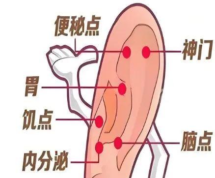 【汤医科普】小豆豆，让我们跟肉肉说拜拜