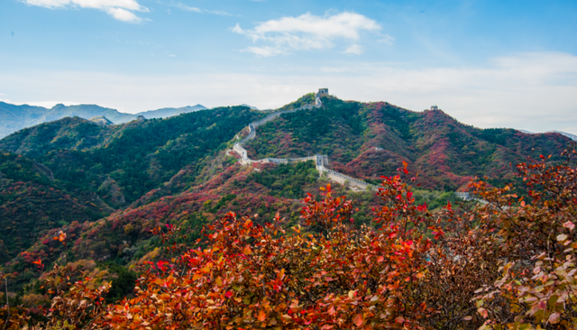 首届！金秋芦苇节来了，延庆旅游攻略｜嗨玩国庆