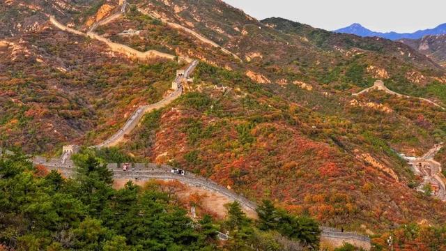 首届！金秋芦苇节来了，延庆旅游攻略｜嗨玩国庆