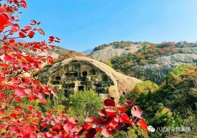 首届！金秋芦苇节来了，延庆旅游攻略｜嗨玩国庆