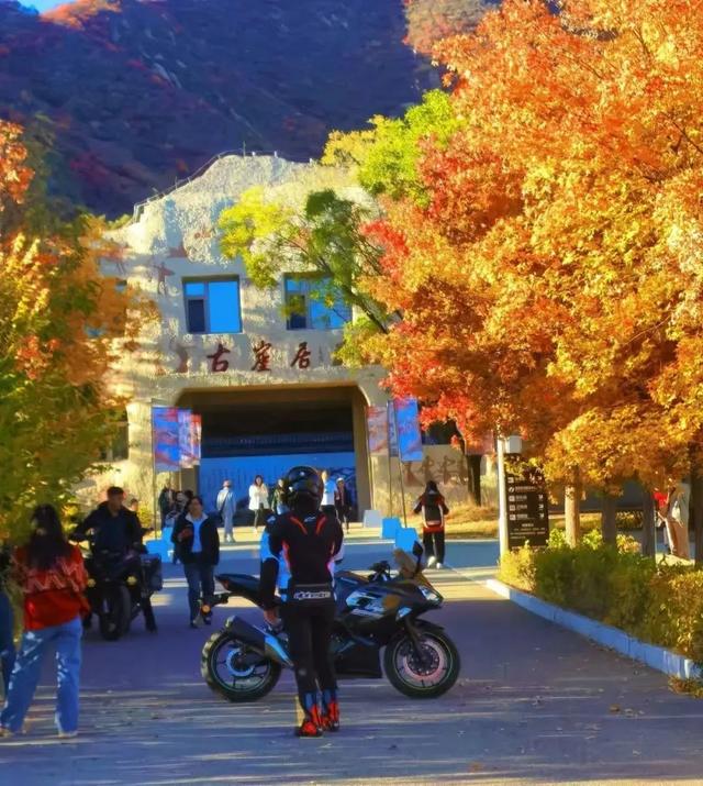 首届！金秋芦苇节来了，延庆旅游攻略｜嗨玩国庆