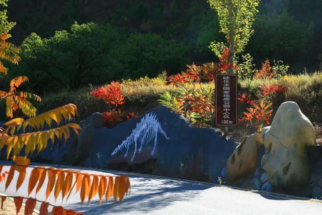 首届！金秋芦苇节来了，延庆旅游攻略｜嗨玩国庆