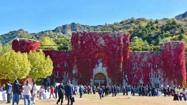玩转国风红叶季，密云多彩文旅活动超燃来袭丨嗨玩国庆