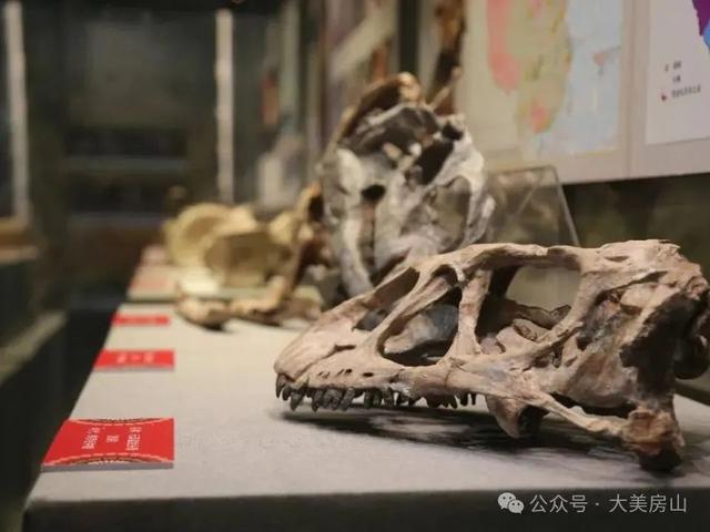 必看！房山众多精彩活动，总有一款适合你｜嗨玩国庆