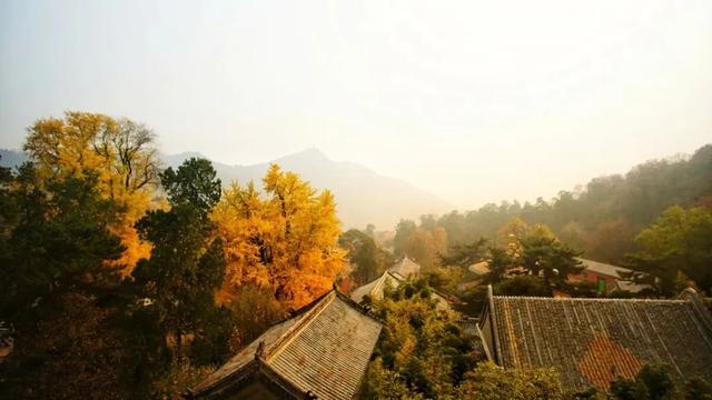 门头沟喊你来赏秋，共赴诗情画意之约 | 嗨玩国庆