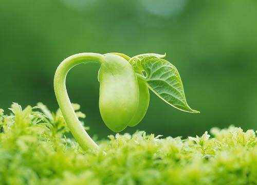 【汤医科普】中医解锁小儿保健密码——小儿的生理特点