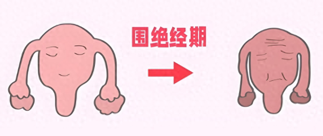 【汤医科普】如何识别与应对更年期