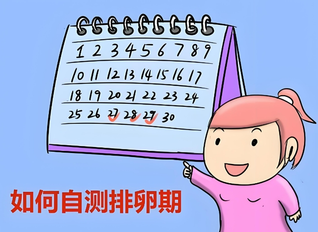 【汤医科普】“安全期避孕”一定安全吗？