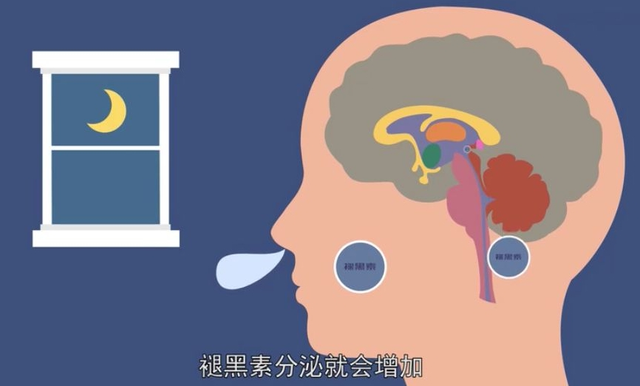 【汤医科普】人体内的“隐秘之眼”