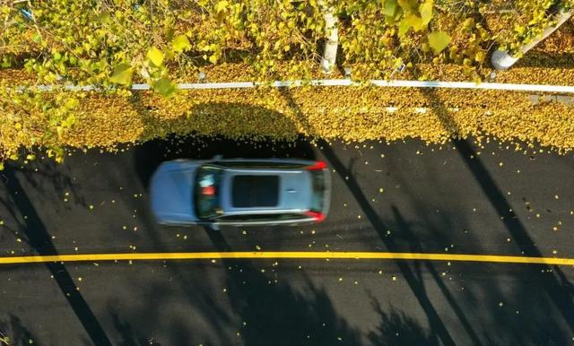 美翻！黄亦玫驰骋的京郊公路又迎“高光”时刻——