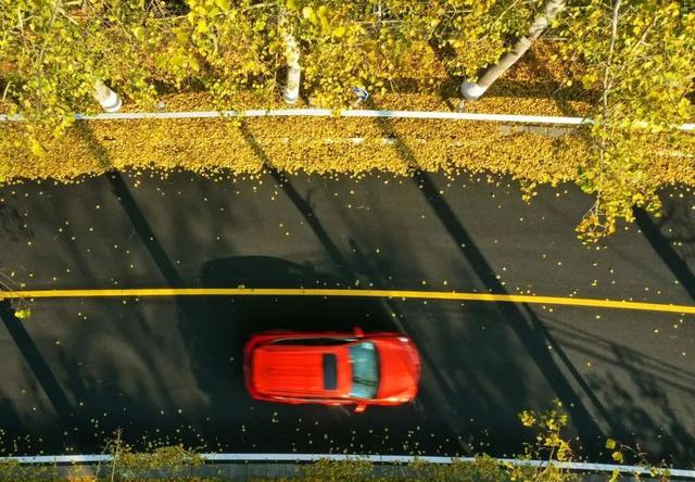 美翻！黄亦玫驰骋的京郊公路又迎“高光”时刻——